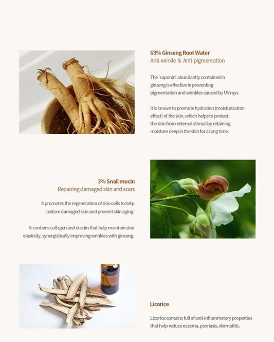 BEAUTY OF JOSEON-Sérum Revive – 30ml