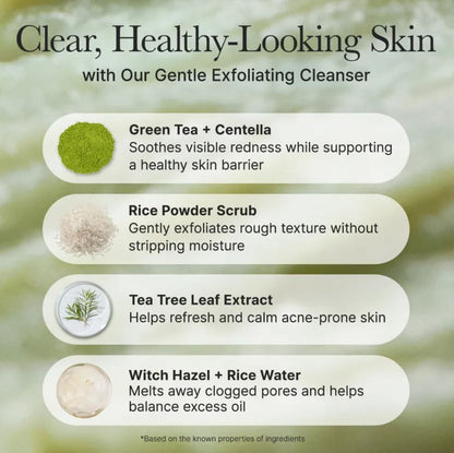 ARENCIA-FRESH GREEN RICE MOCHI CLEANSER 120G